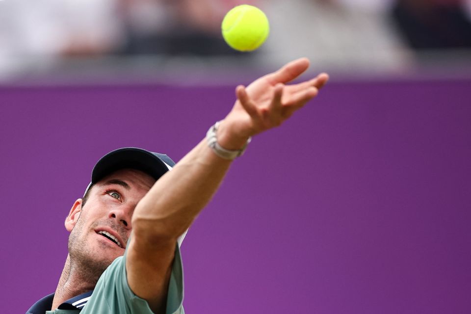 希望他能在 希望他能在