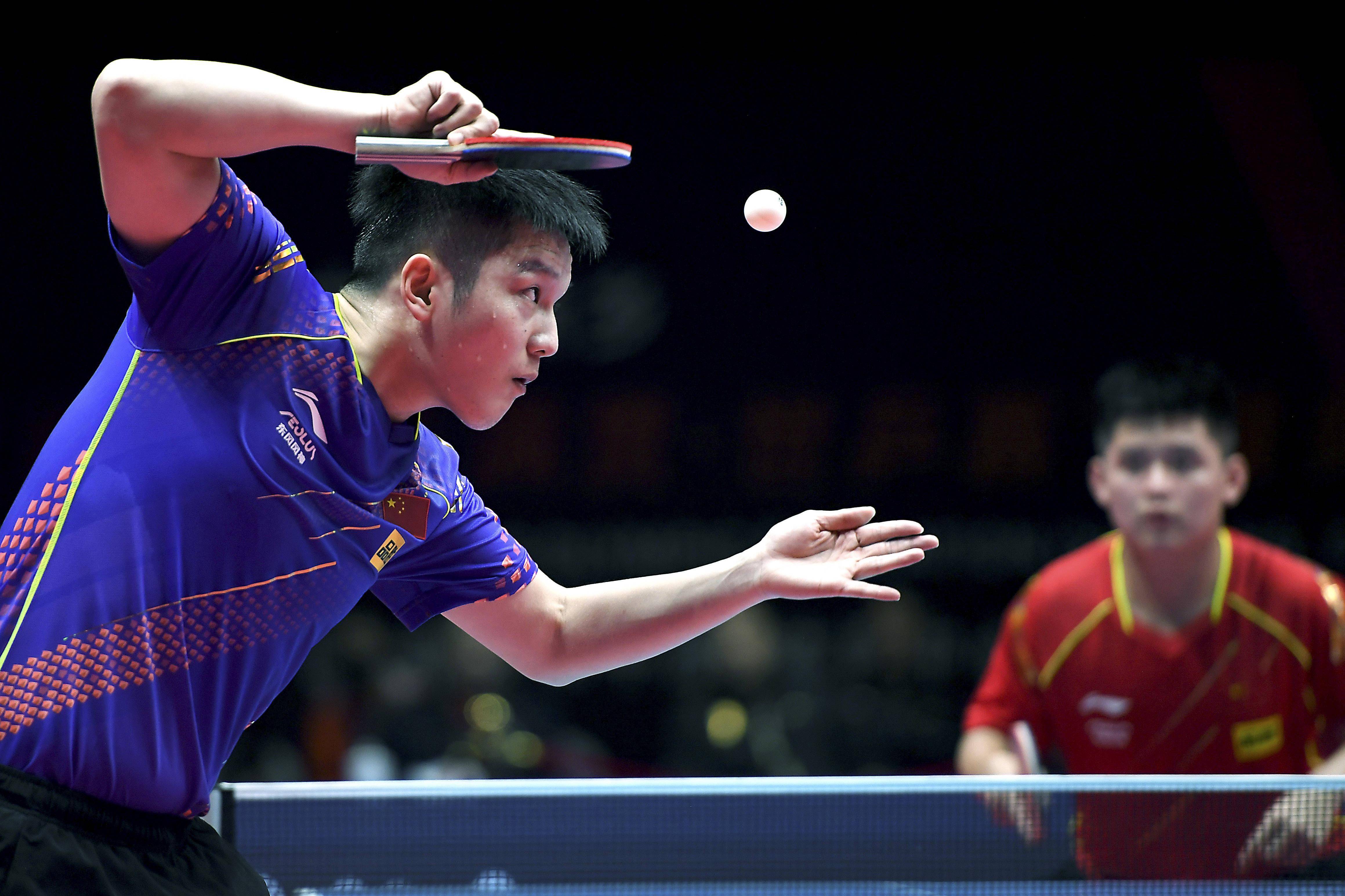 金杯提供了 金杯提供了